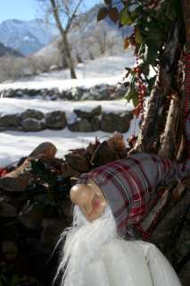 Magie de Noël à la montagne